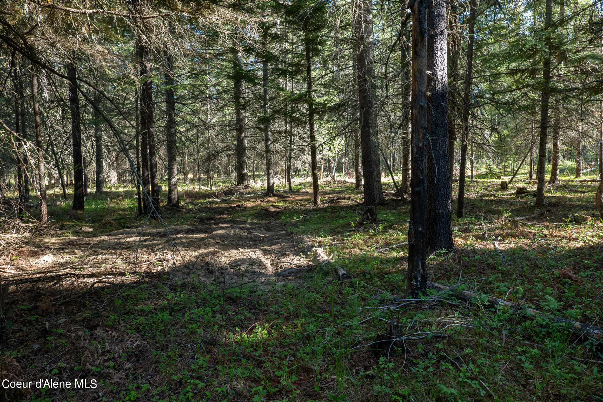 NKA Parcel Robinson Dr, Priest River, Alaska image 6