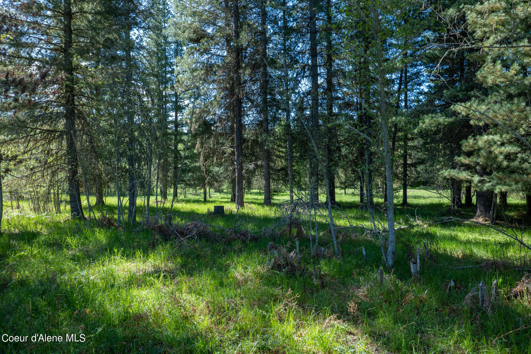 NKA Parcel Robinson Dr, Priest River, Alaska image 12