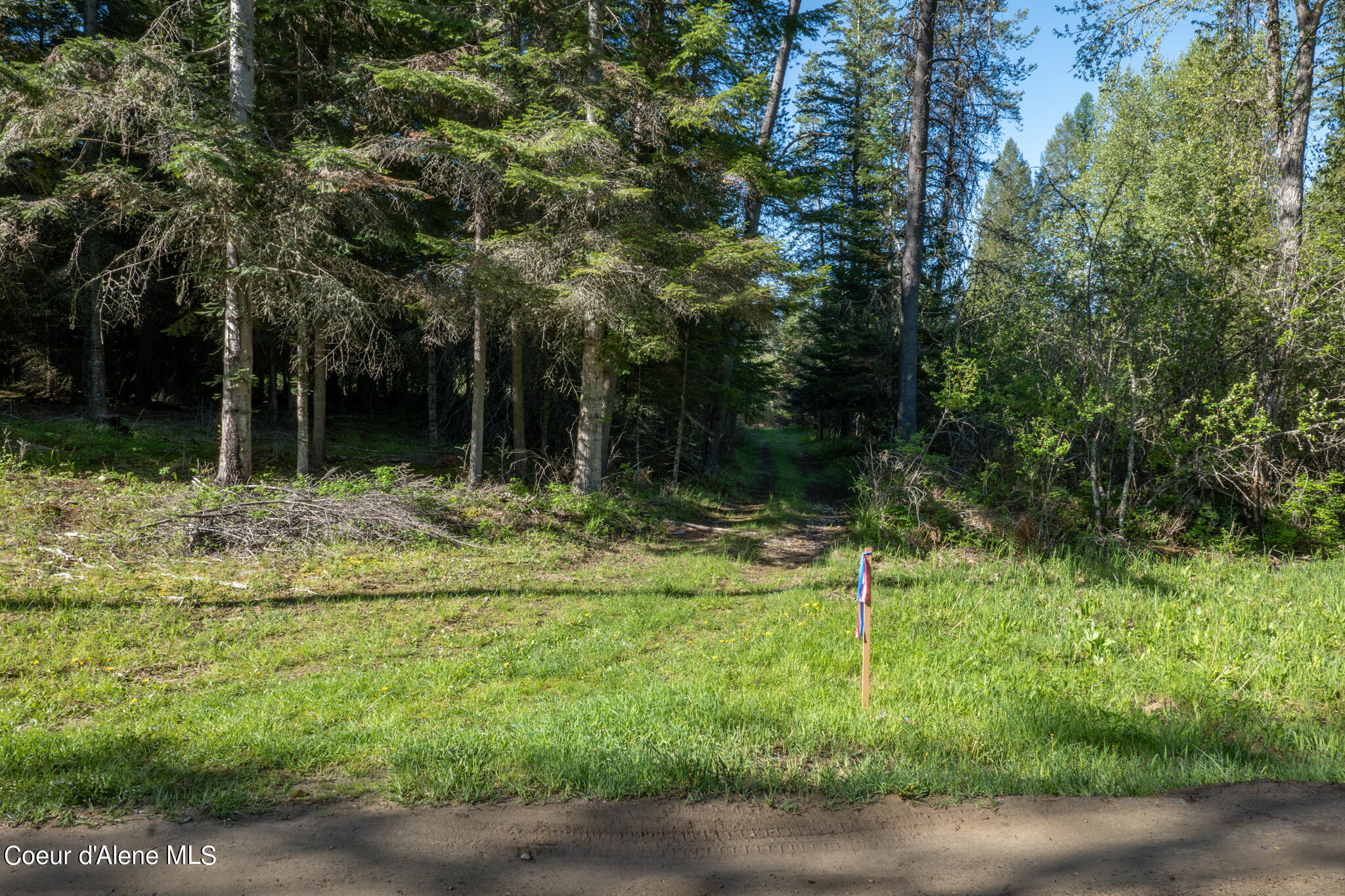 NKA Parcel Robinson Dr, Priest River, Alaska image 18