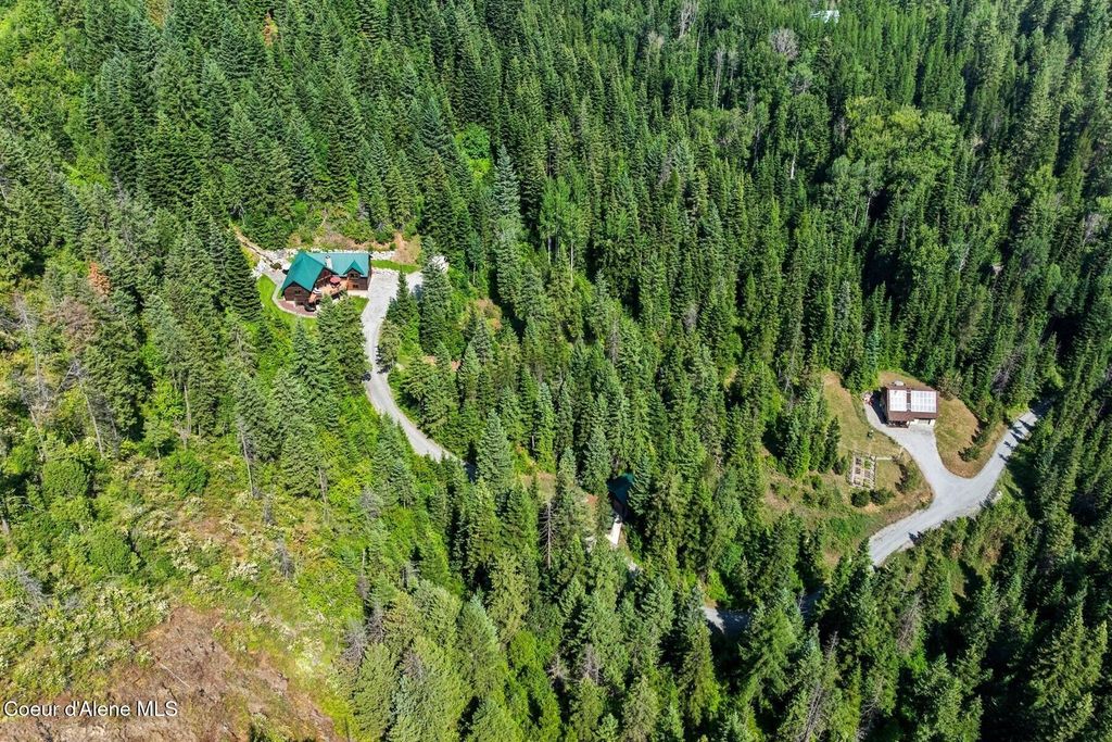 Photo of 969 Western Larch Rd, Newport, WA 99156 (MLS # 26-3215)