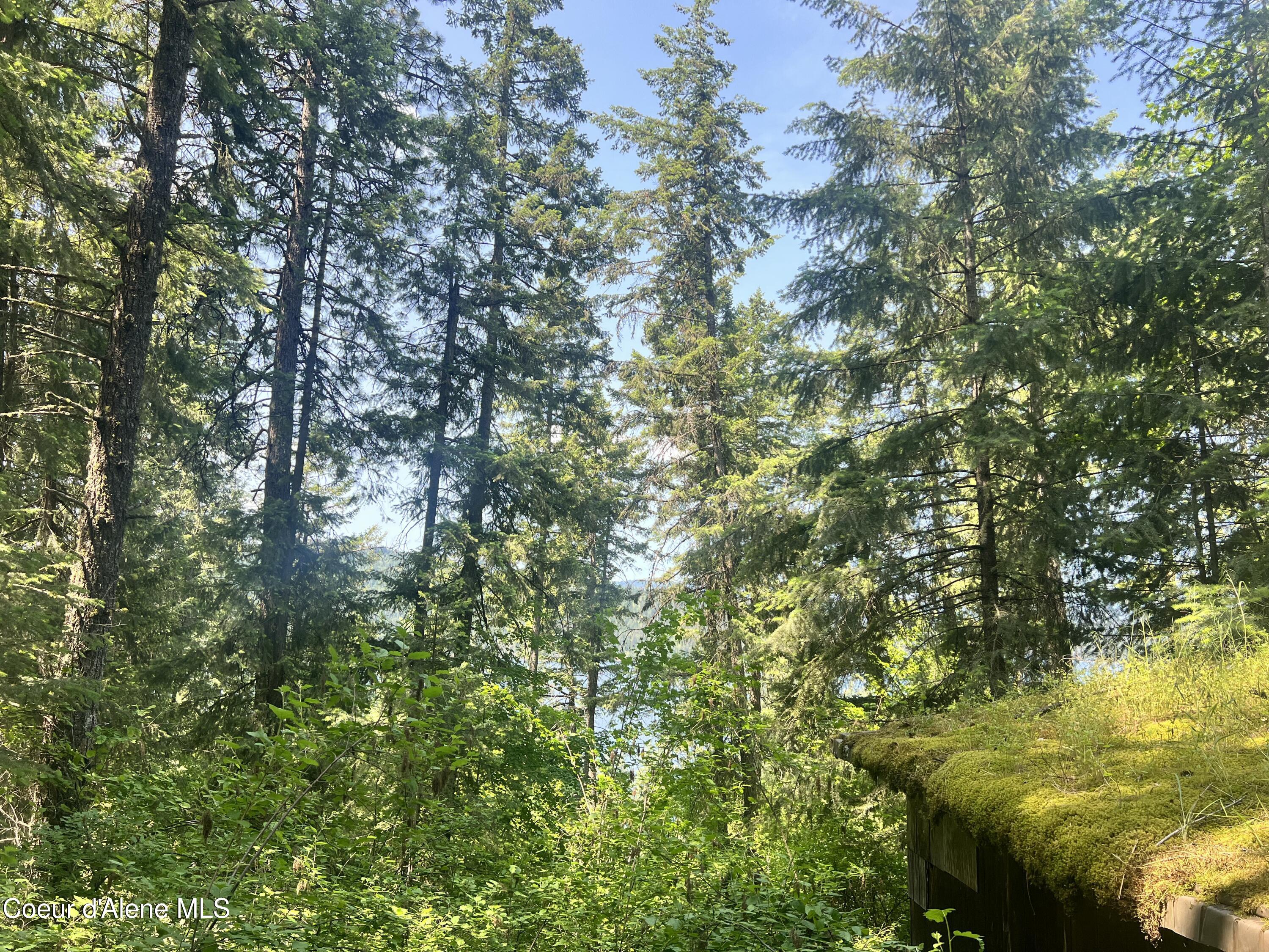NKA E Driftwood Heights Dr, Harrison, Alaska image 28