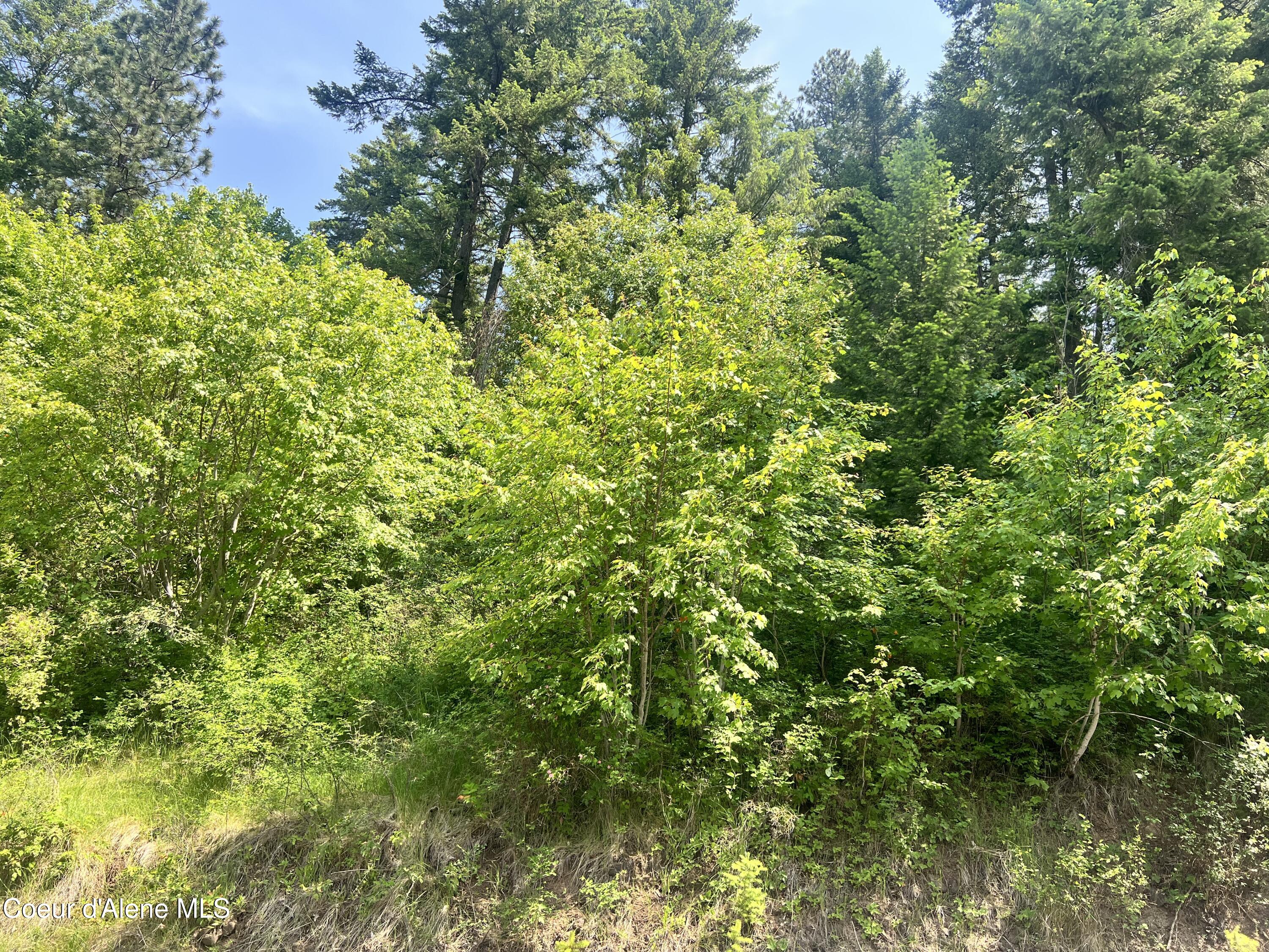 NKA E Driftwood Heights Dr, Harrison, Alaska image 34