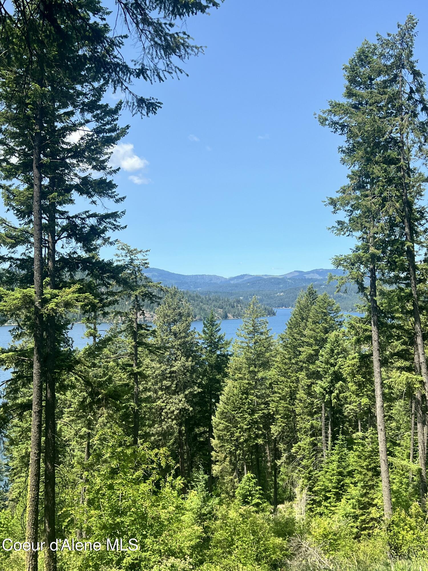 NKA E Driftwood Heights Dr, Harrison, Alaska image 4