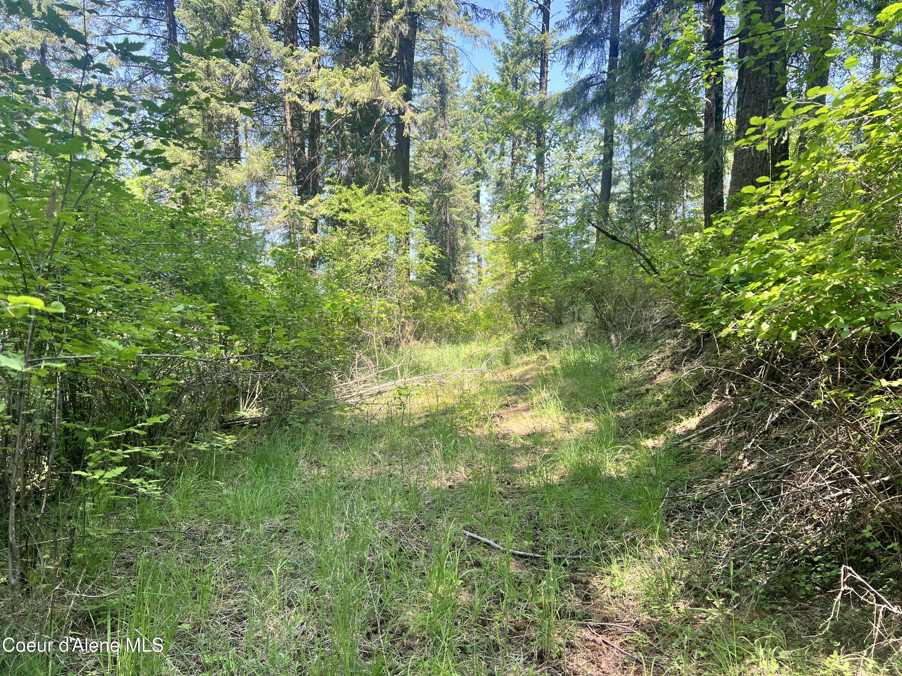 NKA E Driftwood Heights Dr, Harrison, Alaska image 8