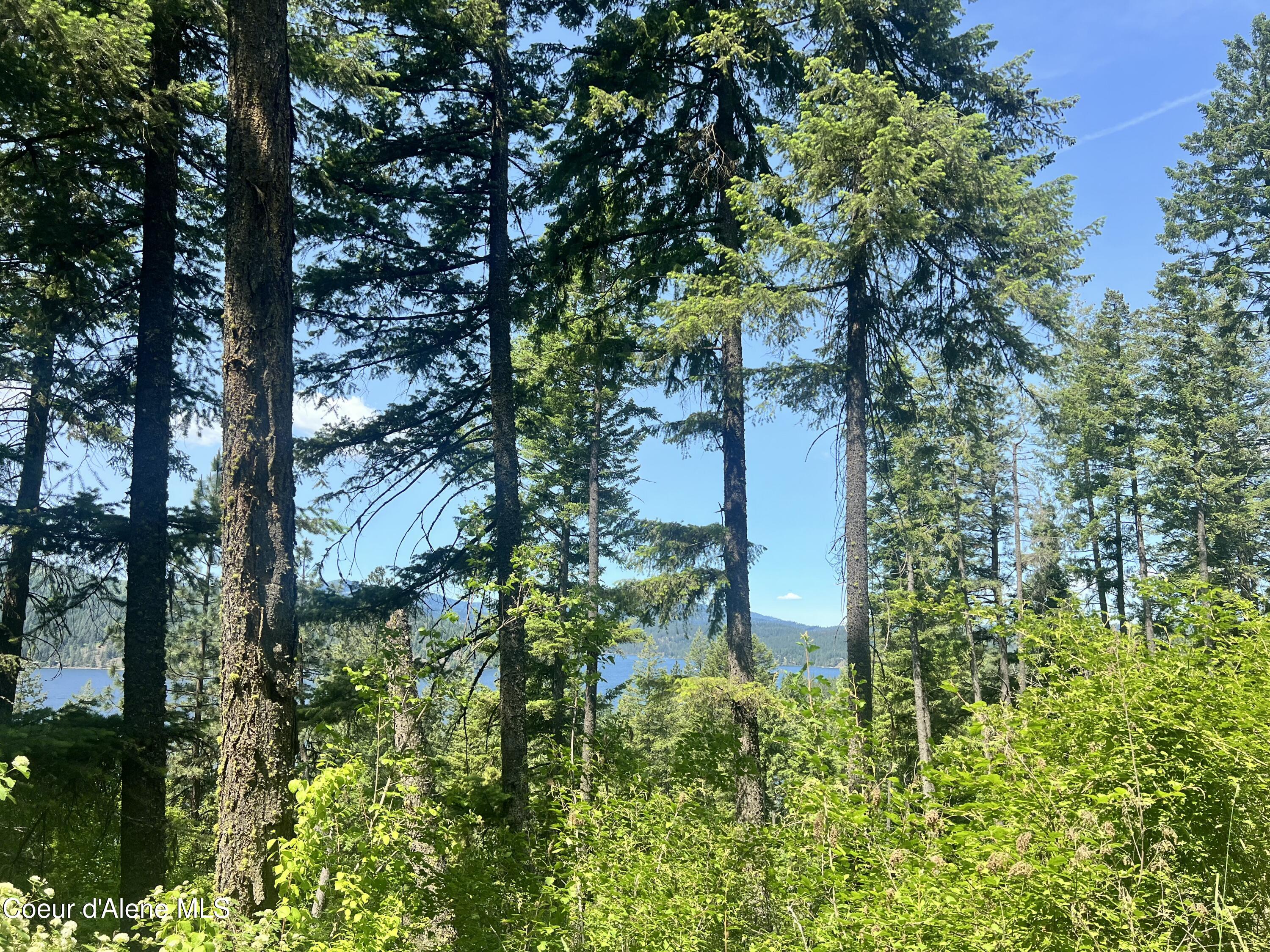 NKA E Driftwood Heights Dr, Harrison, Alaska image 5
