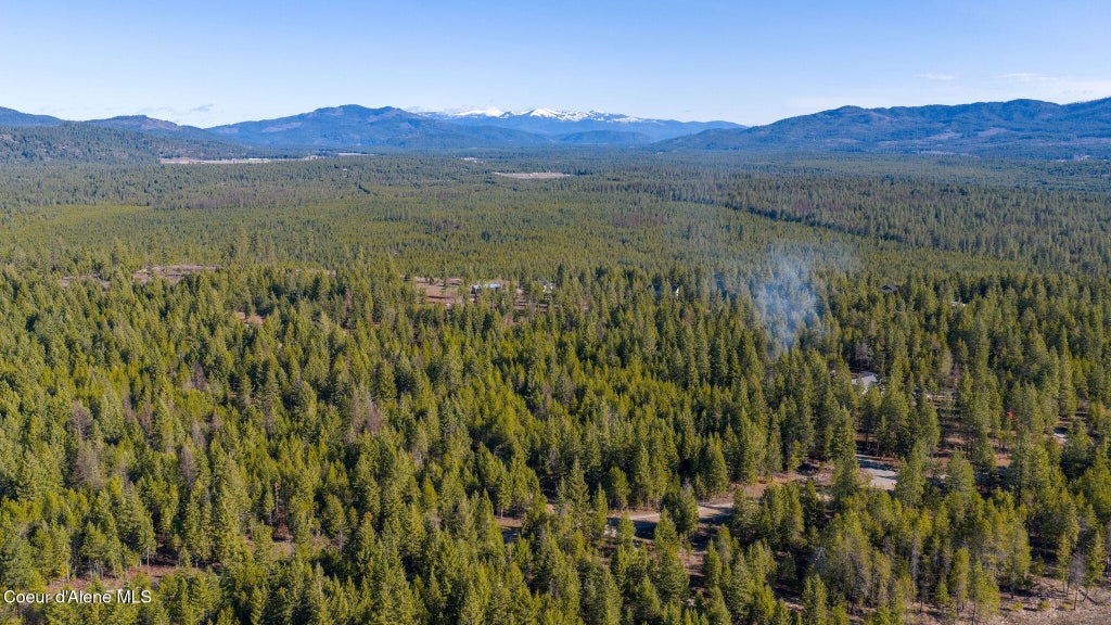 Photo of Warbler, Spirit Lake, ID 83869 (MLS # 26-10429)