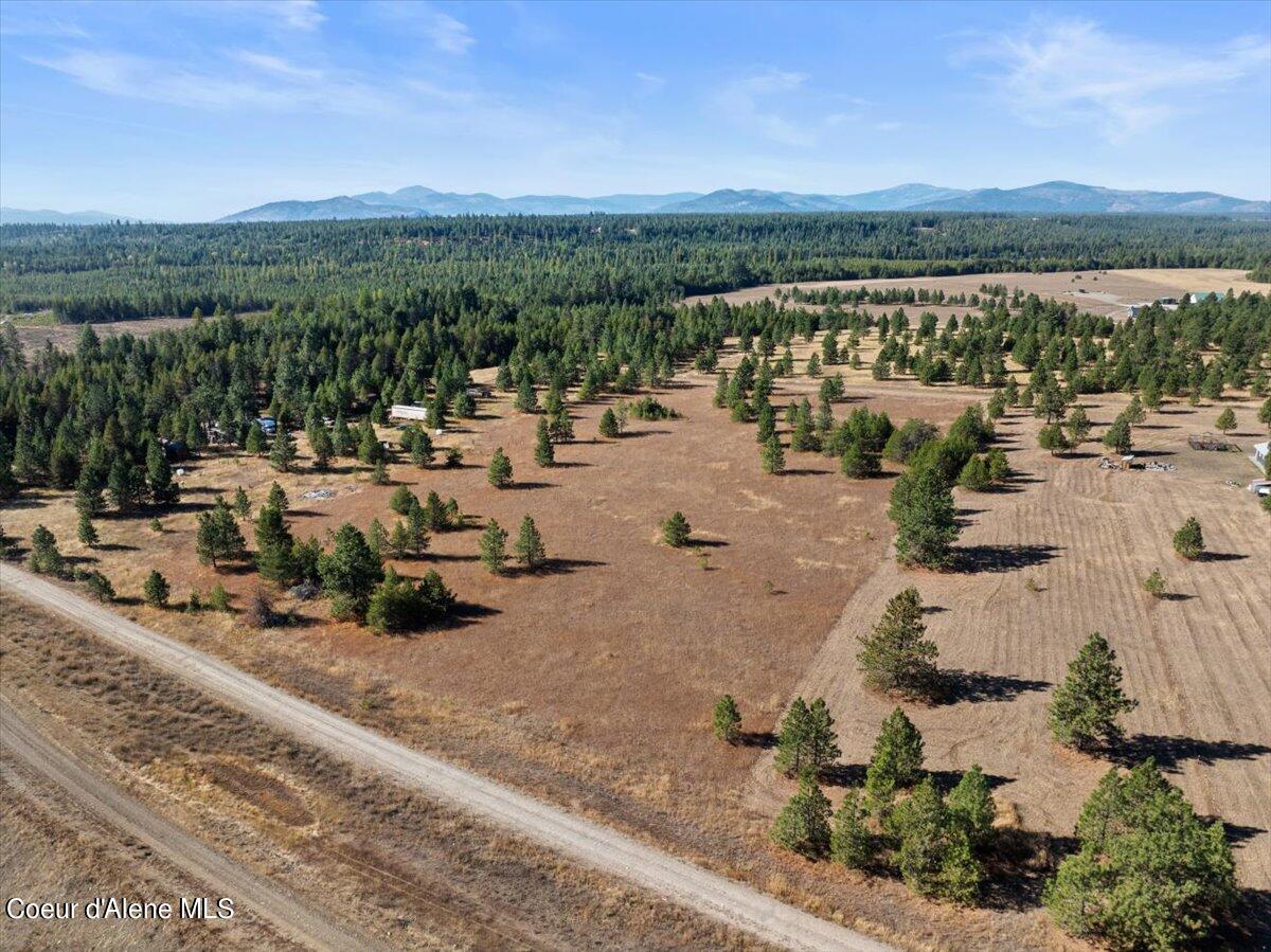 NNA Arden Lane, Athol, Idaho image 17