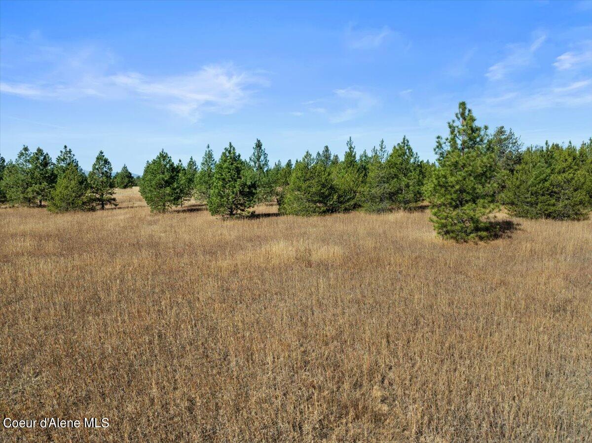 NNA Arden Lane, Athol, Idaho image 11