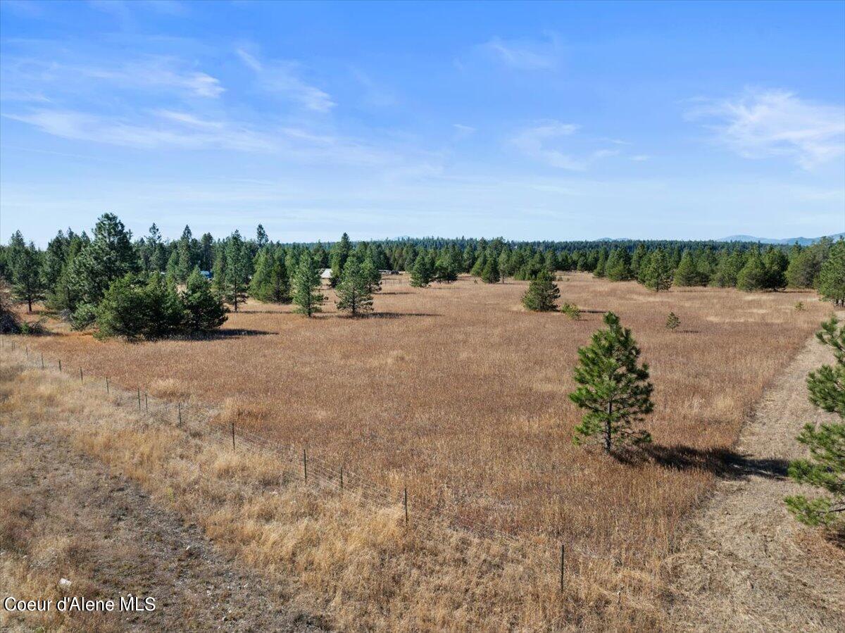 NNA Arden Lane, Athol, Idaho image 9