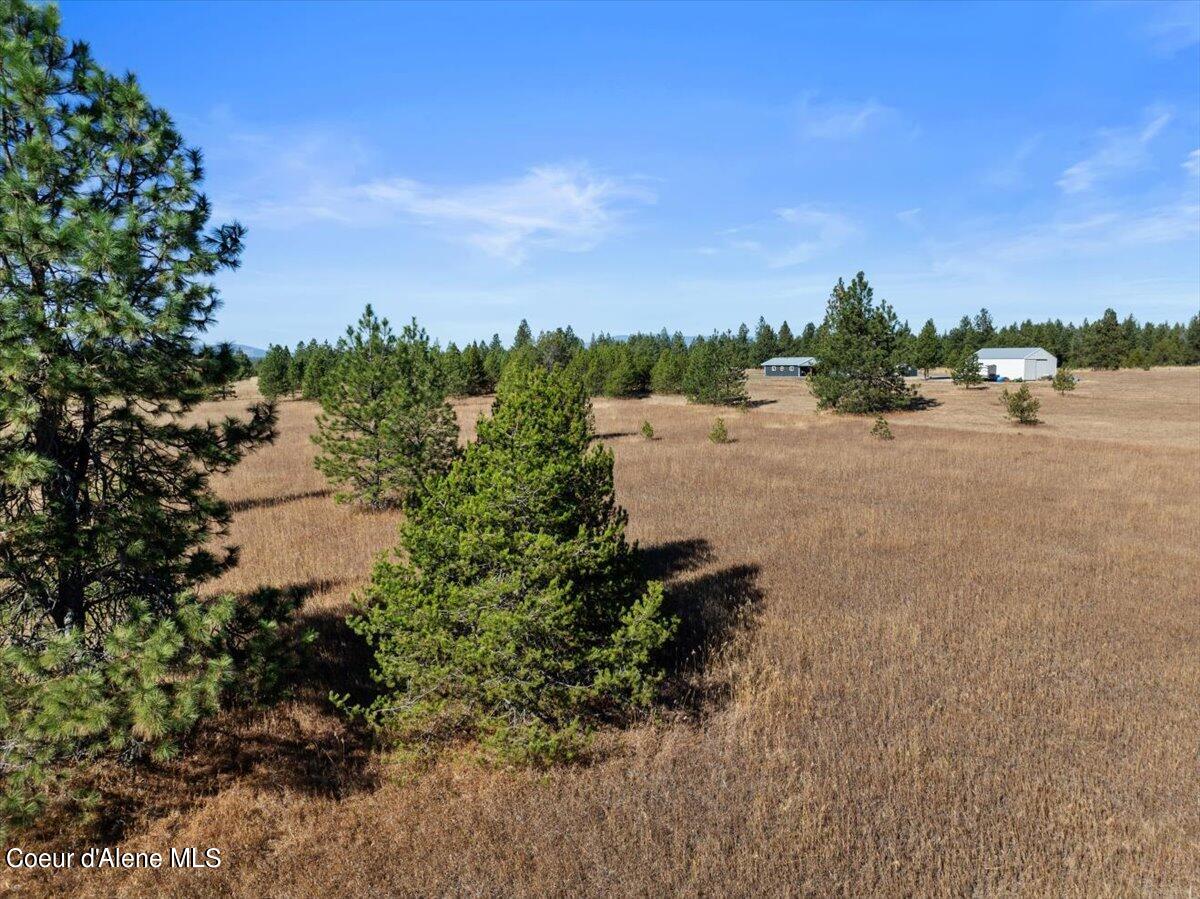 NNA Arden Lane, Athol, Idaho image 10