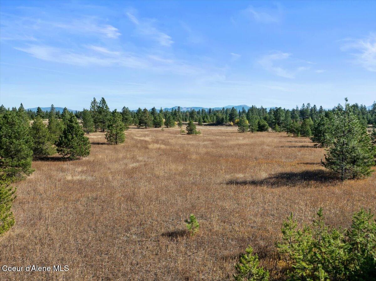 NNA Arden Lane, Athol, Idaho image 8