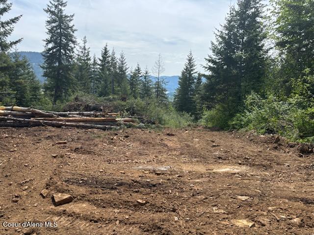 18 Majestic Mountain, Clark Fork, Texas image 4