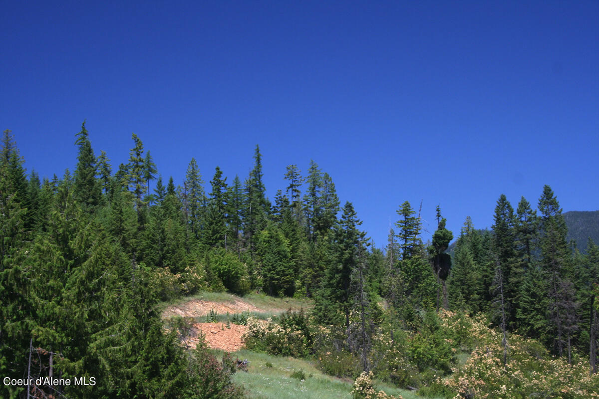 18 Majestic Mountain, Clark Fork, Texas image 22