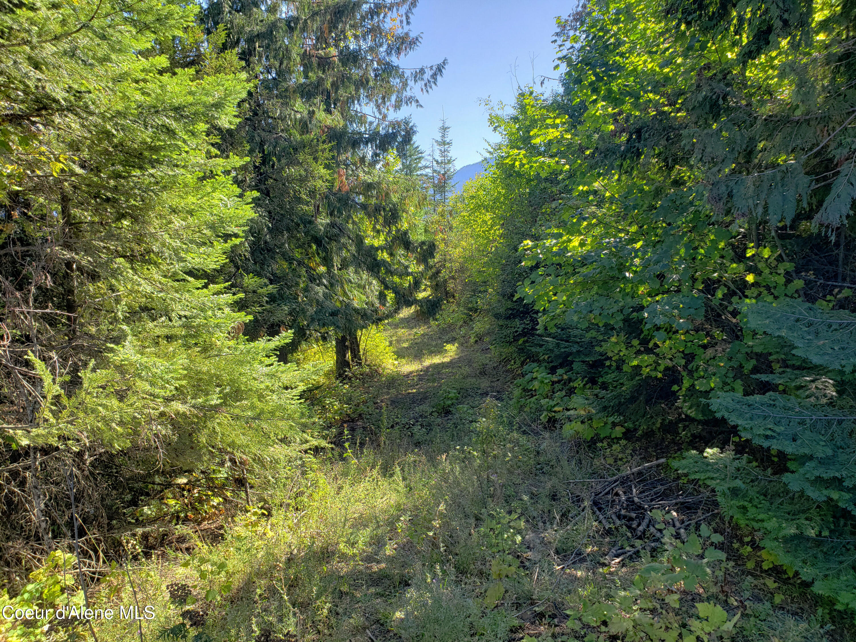 18 Majestic Mountain, Clark Fork, Texas image 34