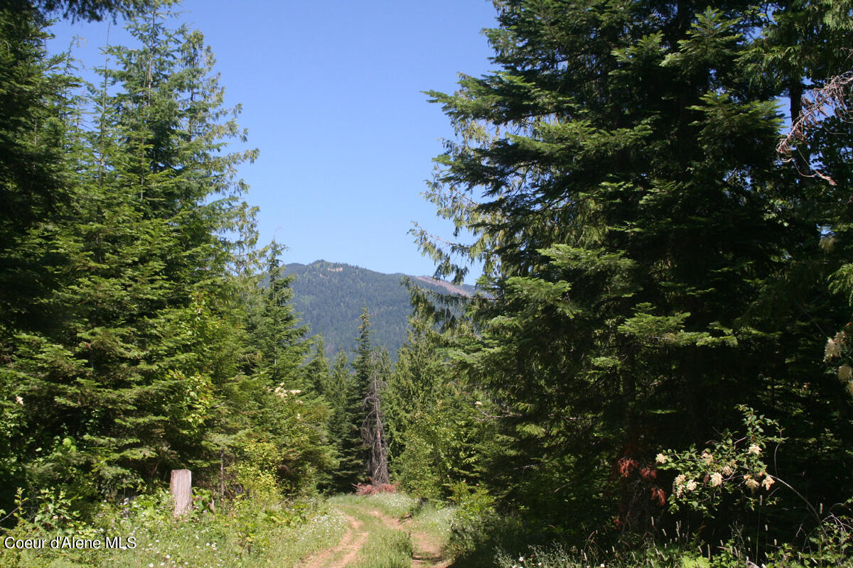 18 Majestic Mountain, Clark Fork, Texas image 14