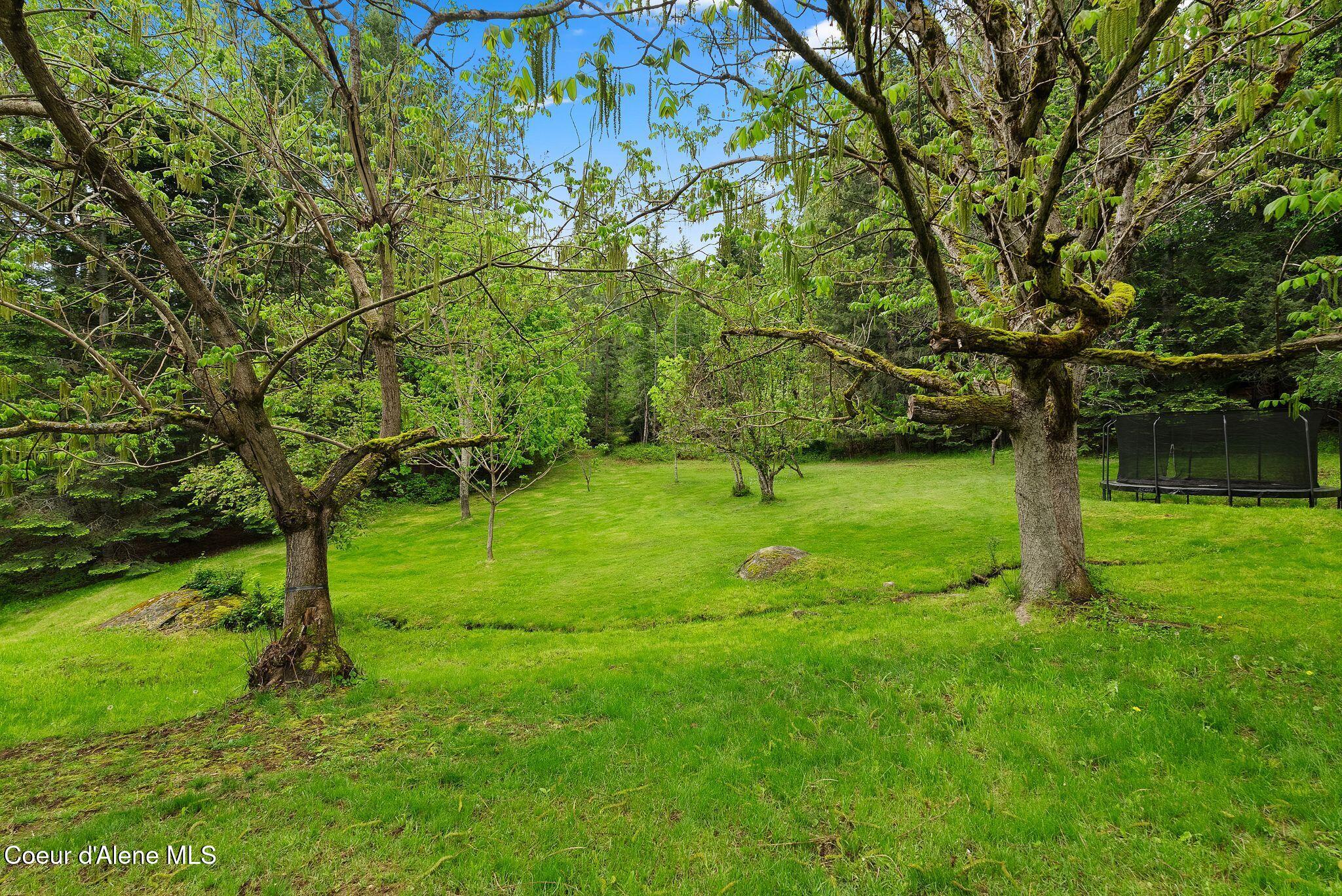 272 S Hidden Springs Rd, Sandpoint, Alaska image 13