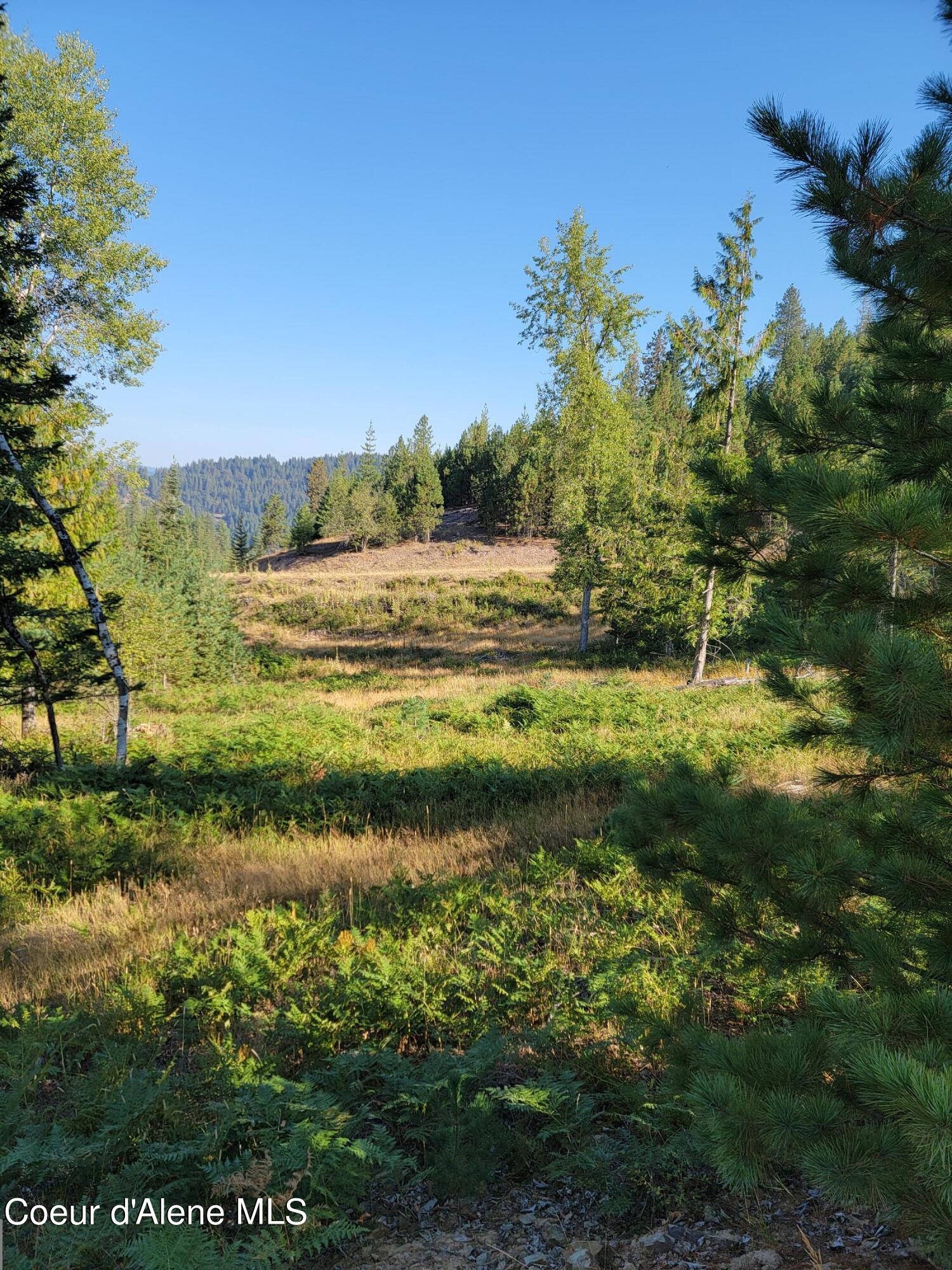 Lot C Blue Star Ln, Pinehurst, Idaho image 9