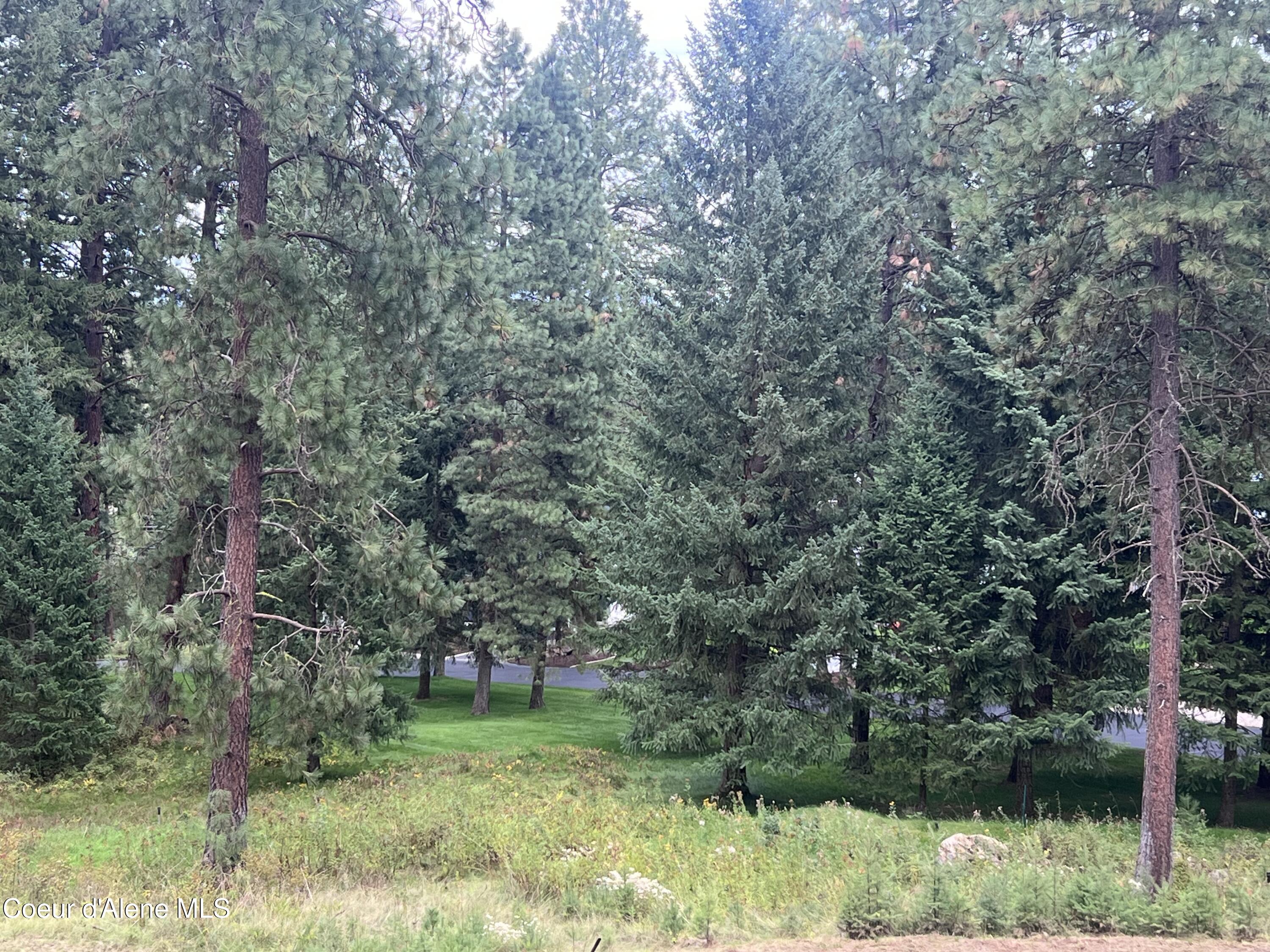 NKA Mossy Rock Lane, Coeur d'Alene, Alaska image 7