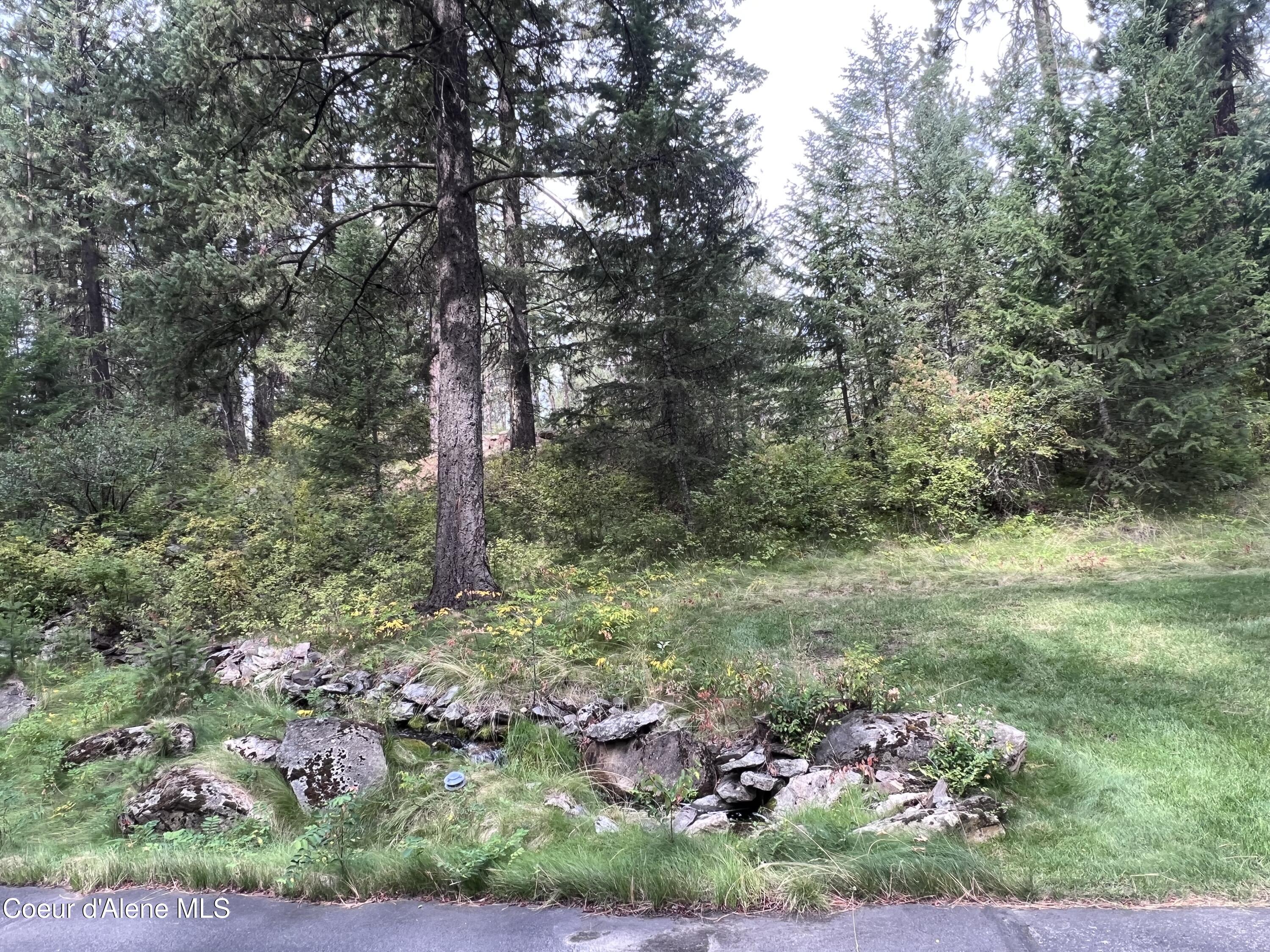 NKA Mossy Rock Lane, Coeur d'Alene, Alaska image 15
