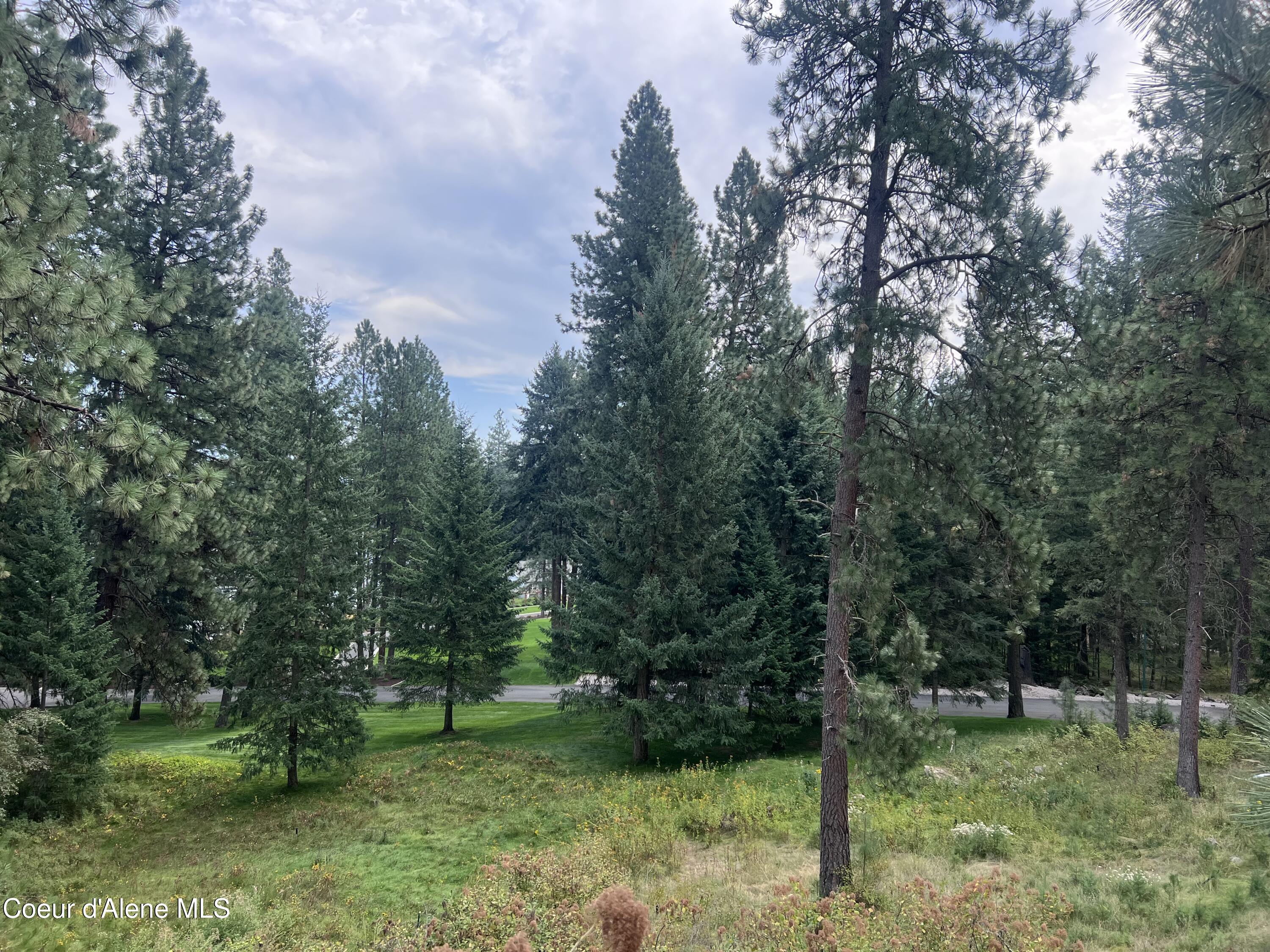 NKA Mossy Rock Lane, Coeur d'Alene, Alaska image 14