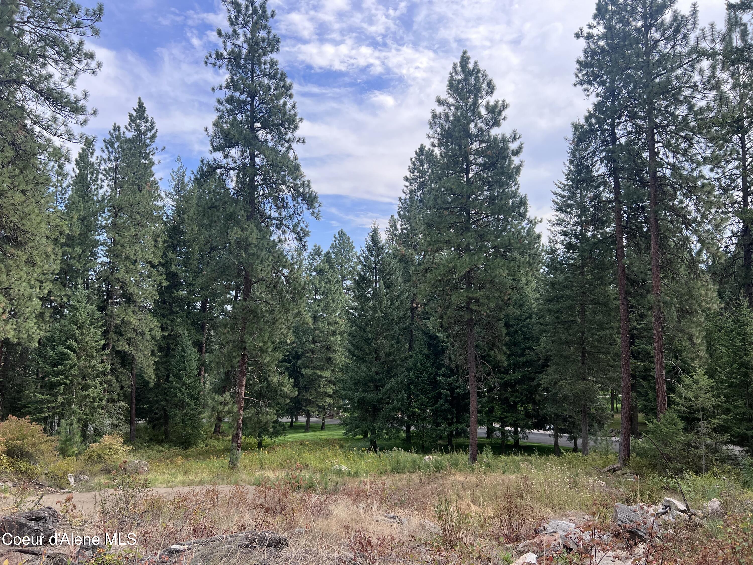 NKA Mossy Rock Lane, Coeur d'Alene, Alaska image 13