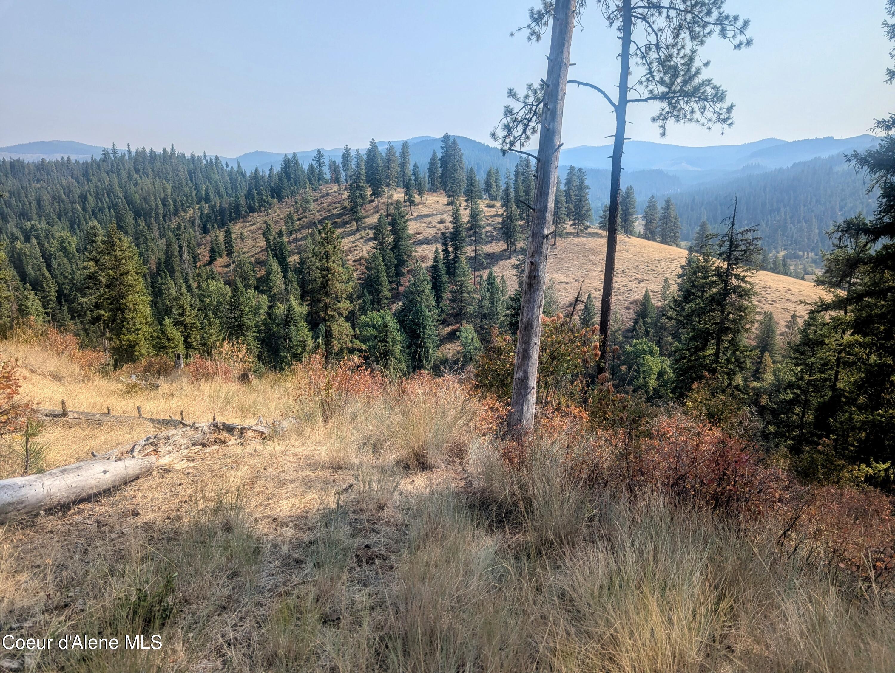 NKA Renfro Creek Rd, Santa, Idaho image 8