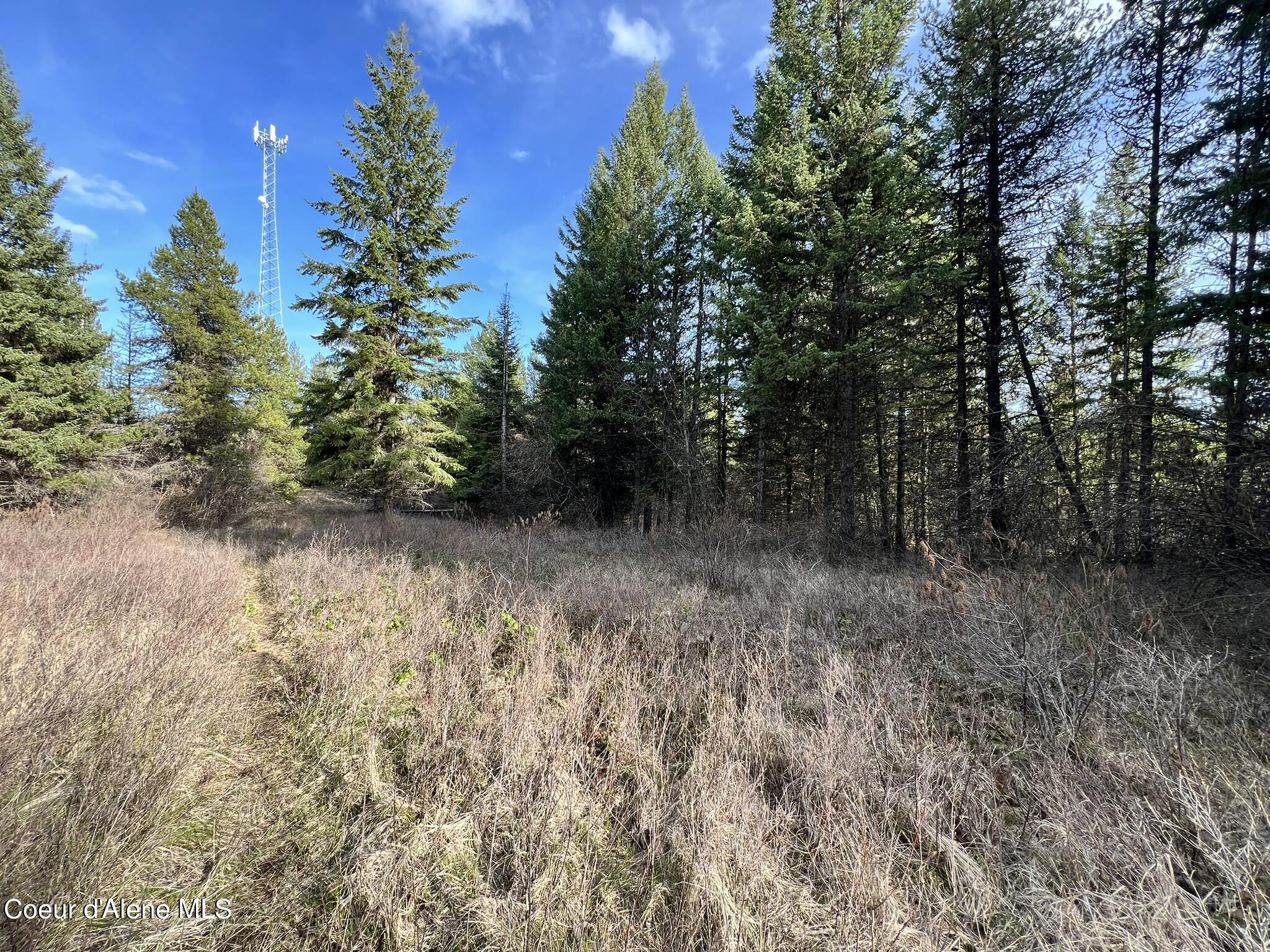 830 Pokey Creek Rd, Santa, Idaho image 6