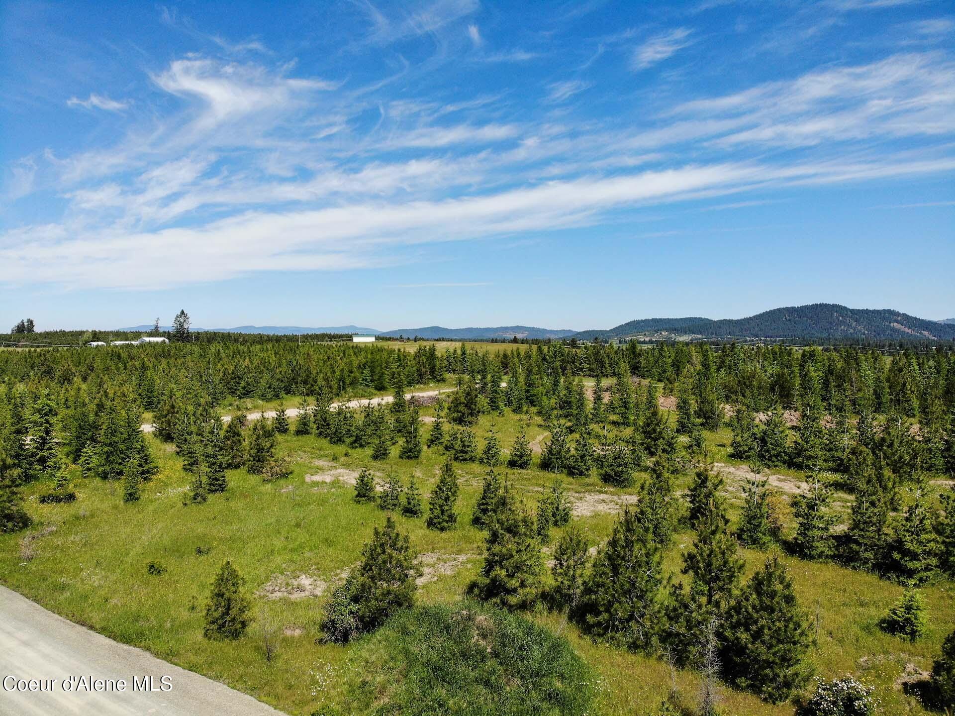 NNA S Hawthorne Drive Parcel 2, Harrison, Idaho image 16