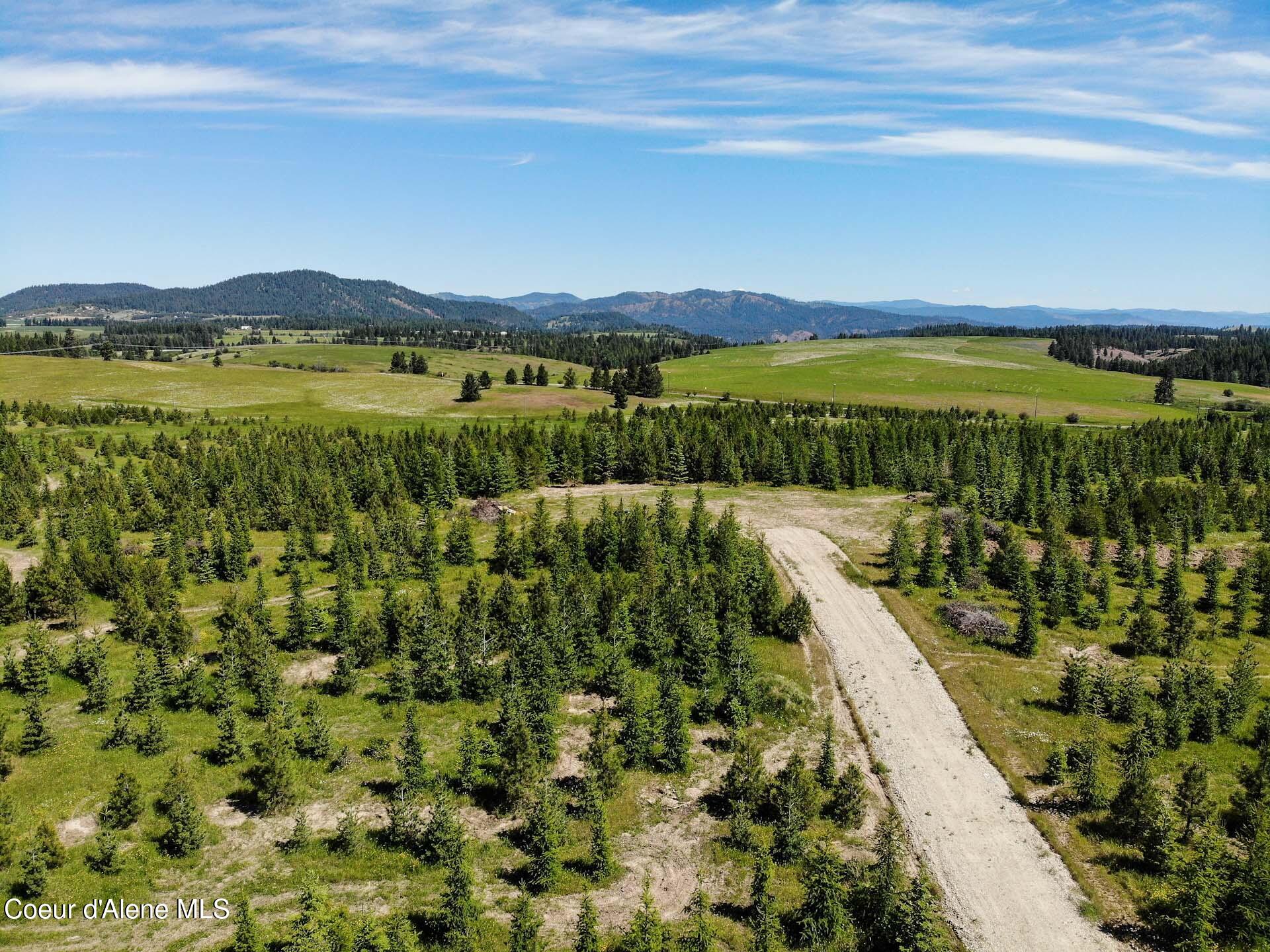 NNA S Hawthorne Drive Parcel 2, Harrison, Idaho image 1
