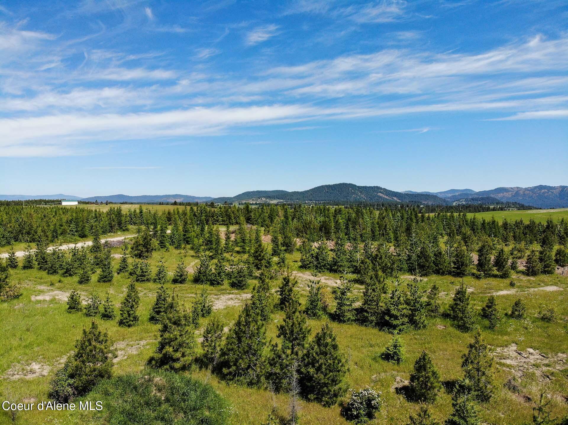 NNA S Hawthorne Drive Parcel 2, Harrison, Idaho image 17