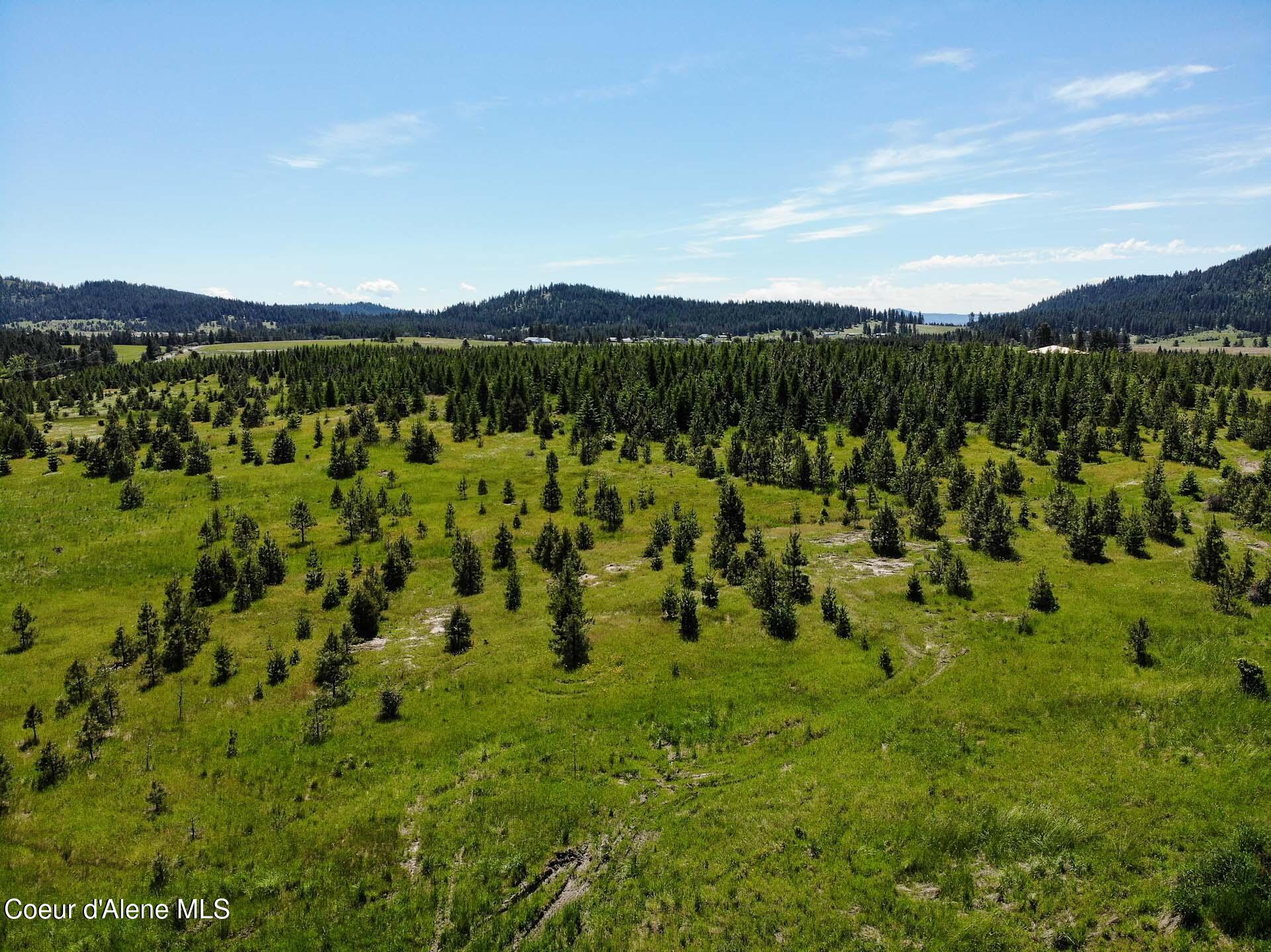 NNA S Hawthorne Drive Parcel 2, Harrison, Idaho image 23