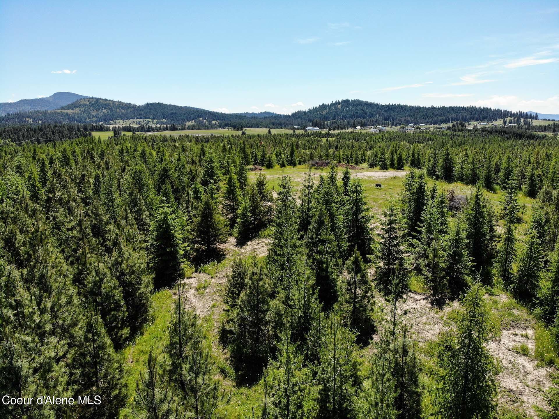 NNA S Hawthorne Drive Parcel 2, Harrison, Idaho image 15