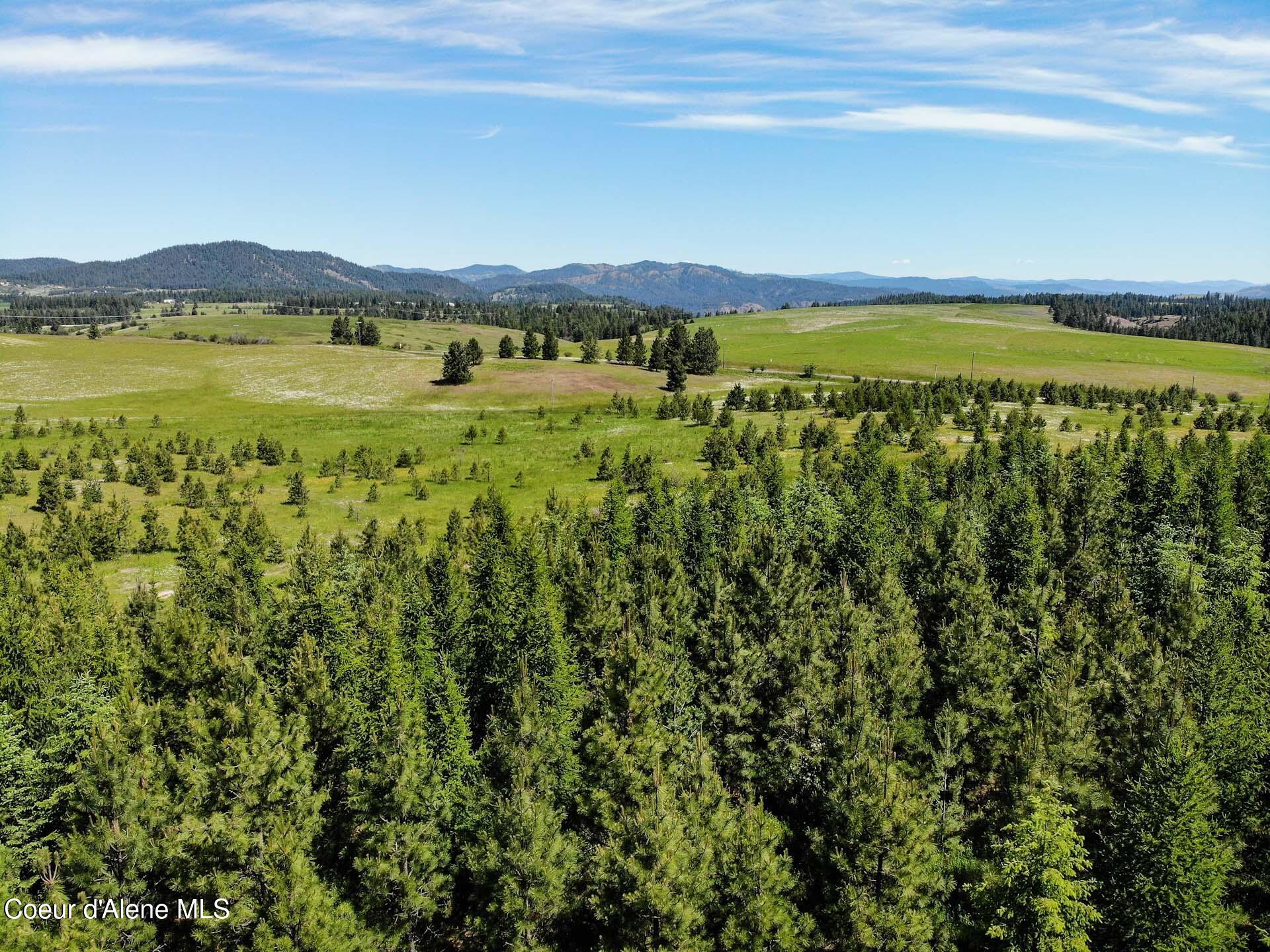 NNA S Hawthorne Drive Parcel 2, Harrison, Idaho image 20