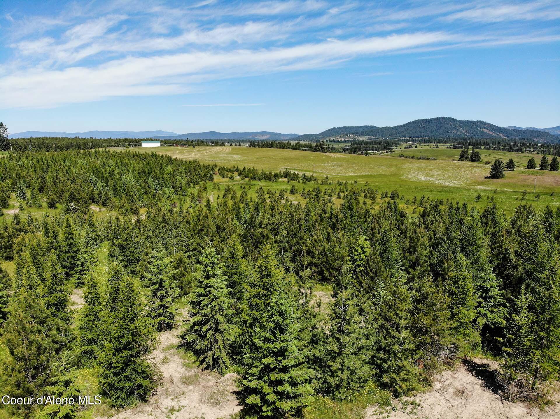 NNA S Hawthorne Drive Parcel 2, Harrison, Idaho image 18