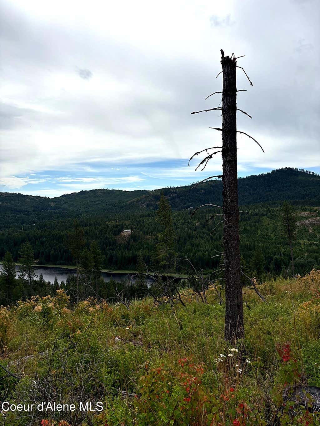 Photo of Lot 3 Dollar Creek Creek, Sagle, ID 83860 (MLS # 26-7449)