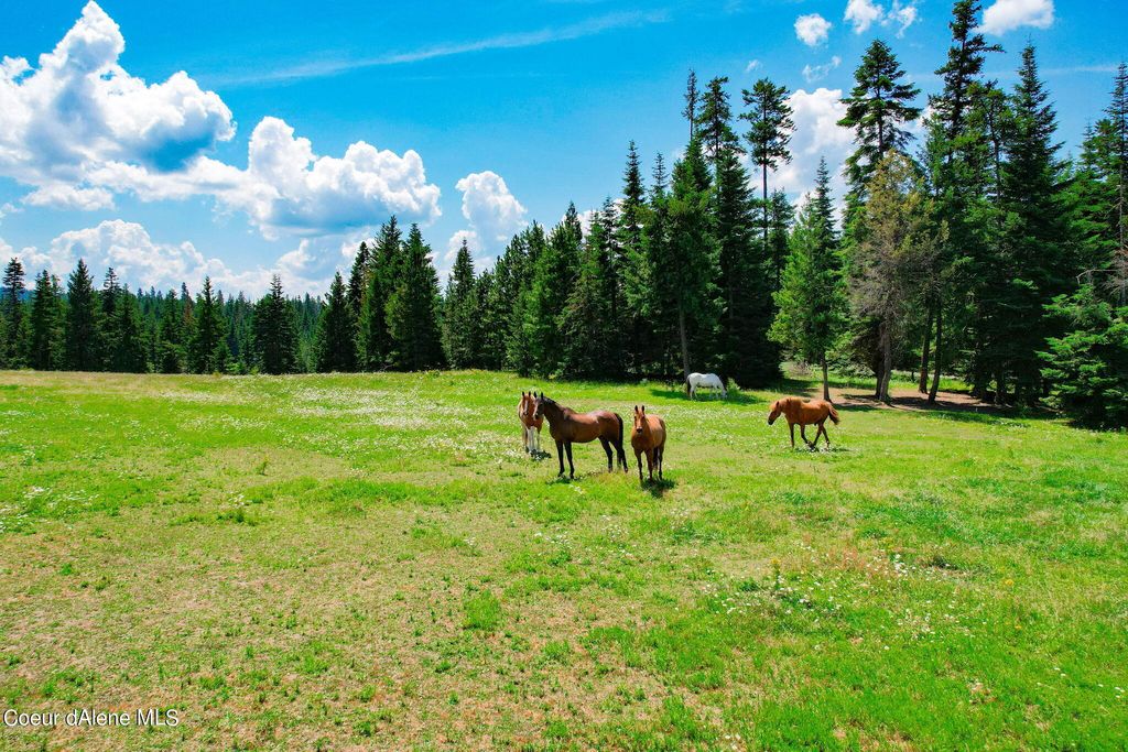 Photo of 5939 Burma Rd, Harrison, ID 83833 (MLS # 25-8280)