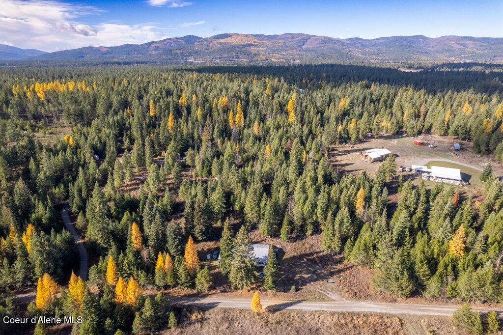 Photo of 712 Nitty Gritty Ln, Priest River, ID 83856 (MLS # 26-6165)