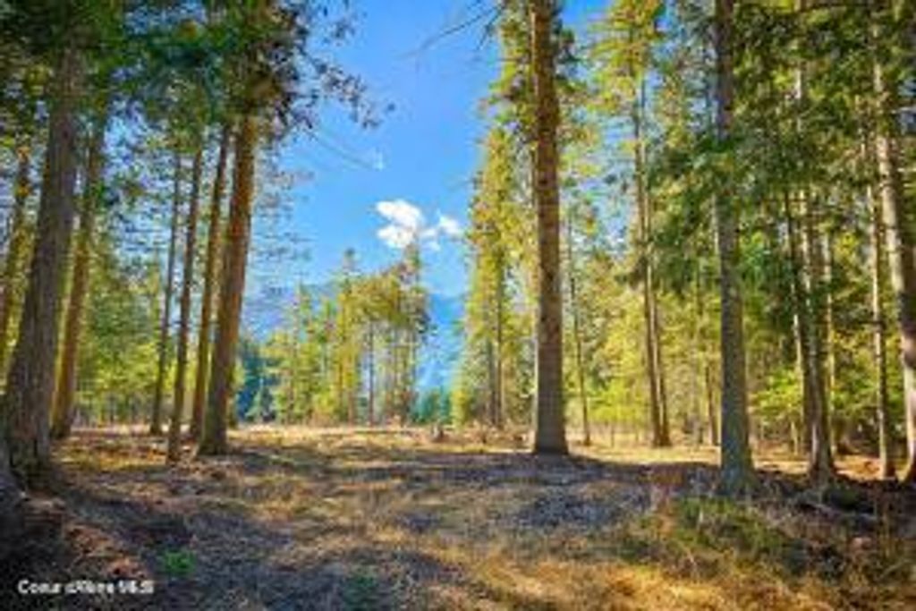 Photo of NKA Frontage, Clark Fork, ID 83811 (MLS # 26-4211)