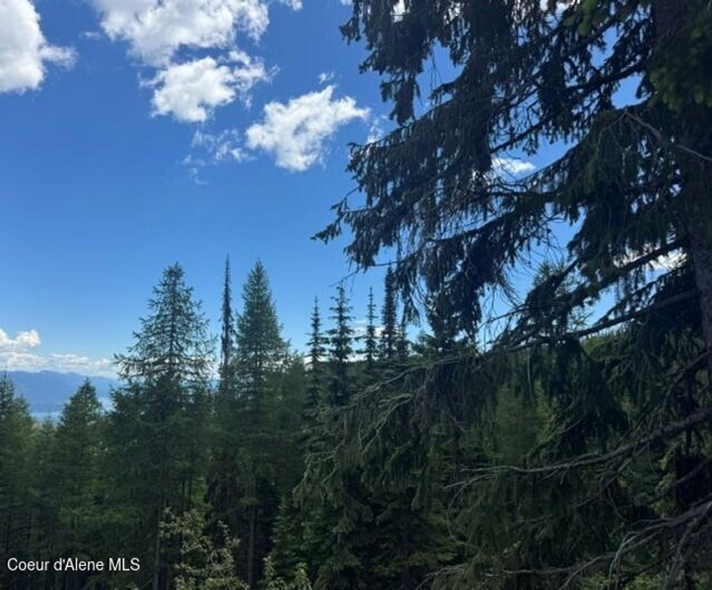 Photo of NNA Tall Timber, Sandpoint, ID 83864 (MLS # 26-6519)