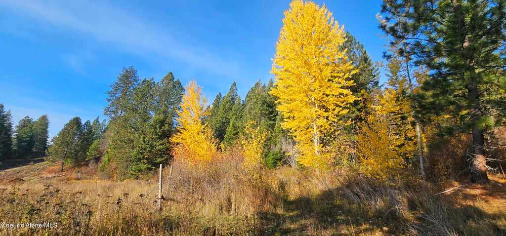 Photo of 125 Tracker Way, Priest River, ID 83856 (MLS # 26-7600)