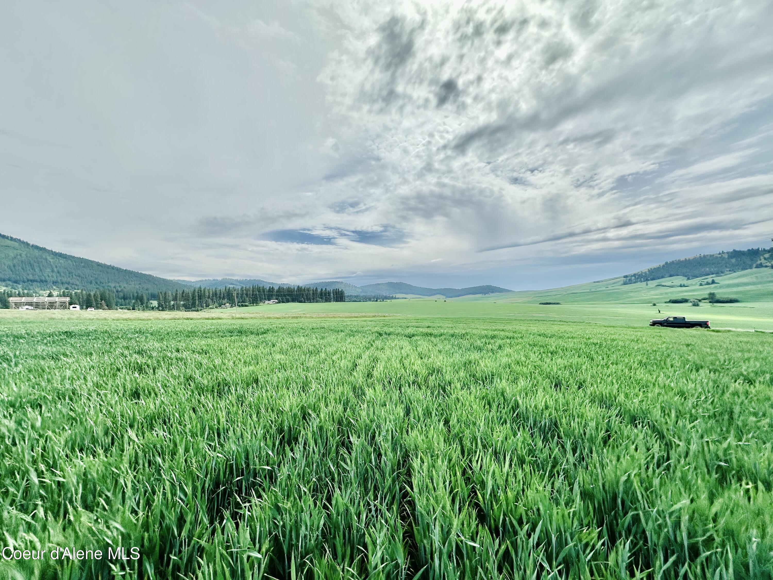 783 Old Mills Rd, Desmet, Idaho image 4