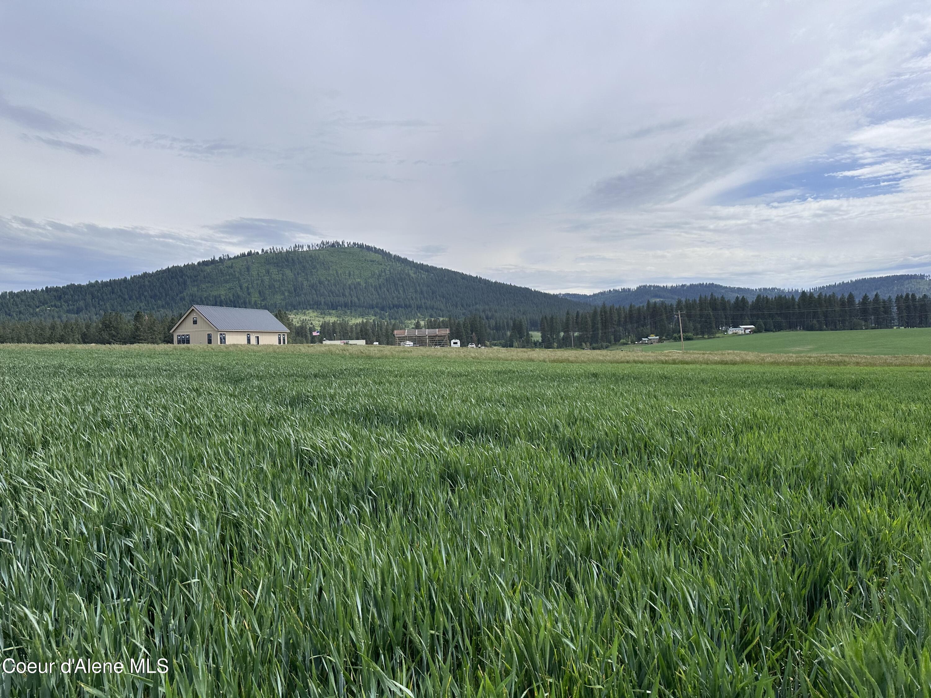 783 Old Mills Rd, Desmet, Idaho image 1