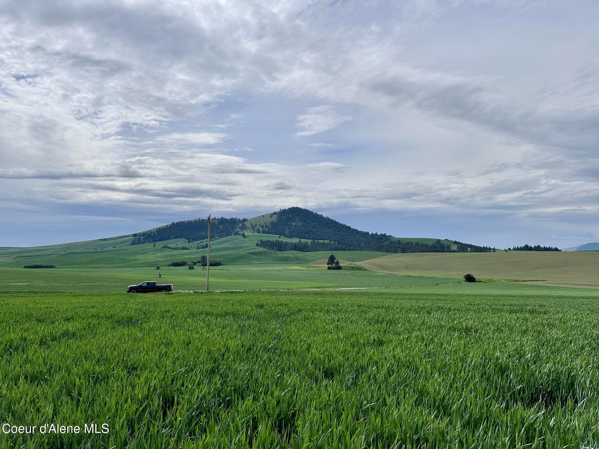 783 Old Mills Rd, Desmet, Idaho image 8