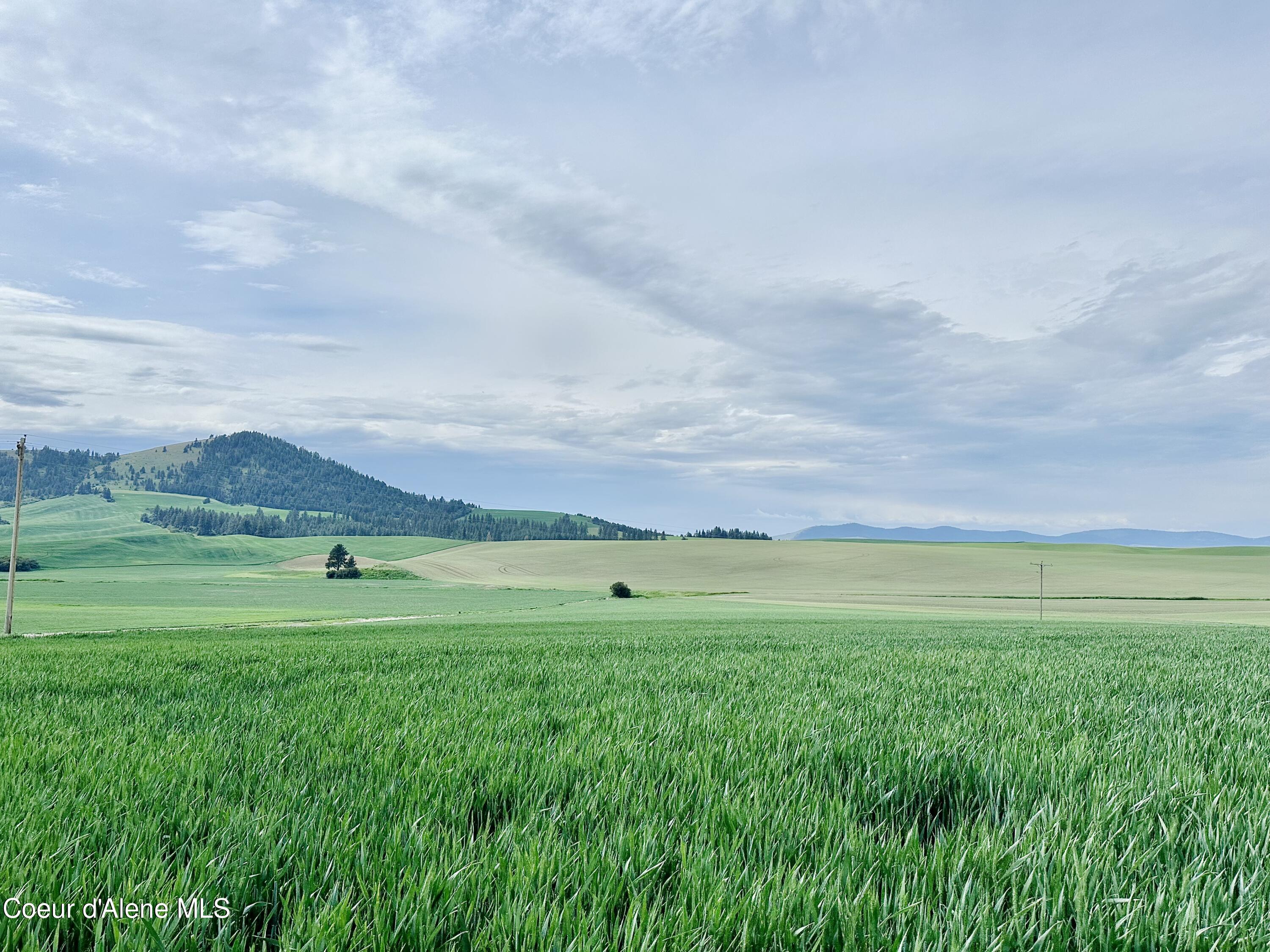 783 Old Mills Rd, Desmet, Idaho image 3