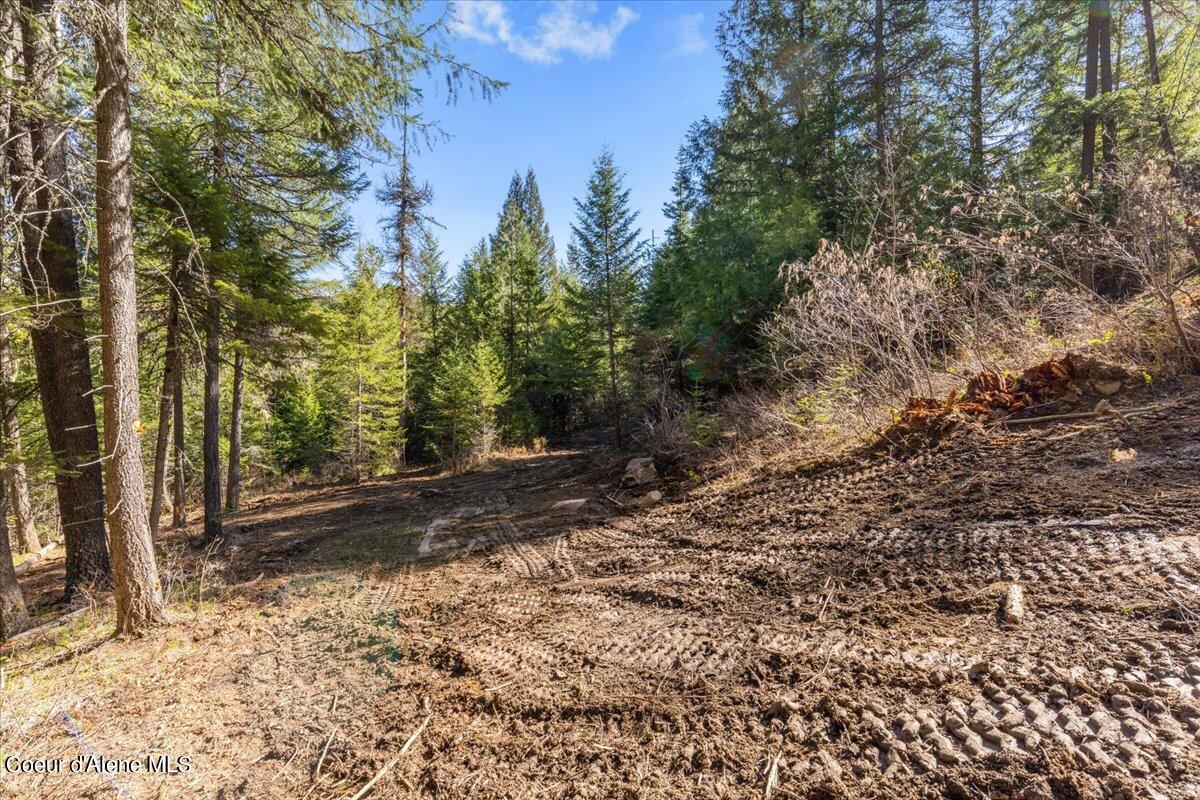 NKA Kelso Woods Drive, Athol, Idaho image 8