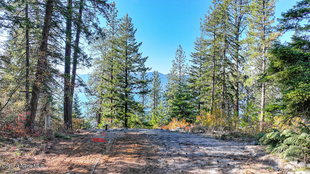 68 Rye Rd, Bayview, Alaska image 7
