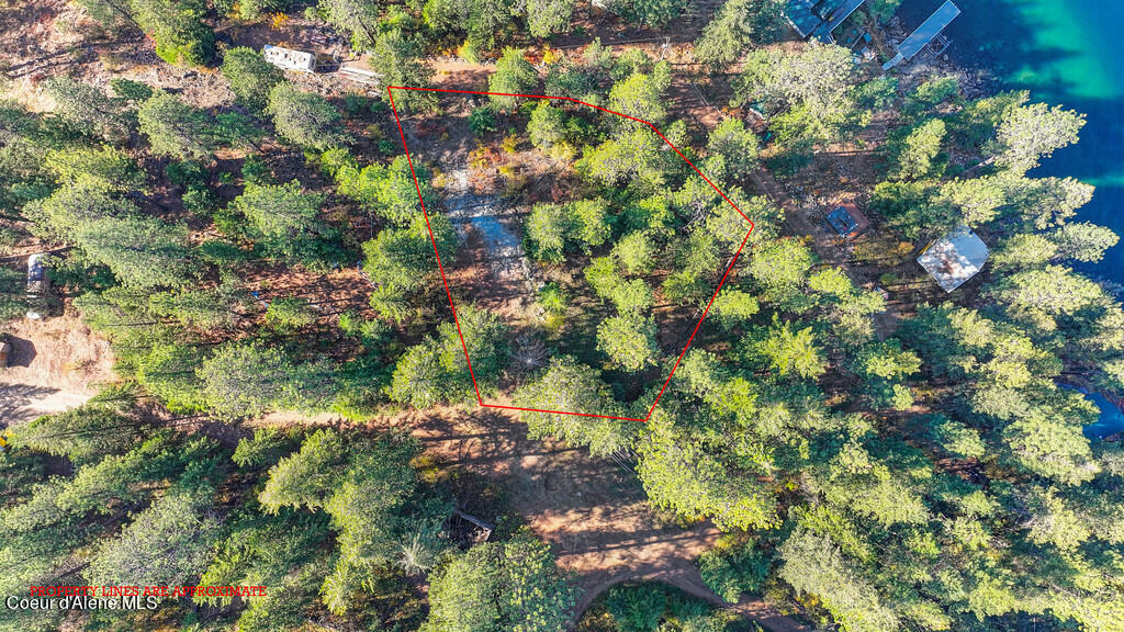 68 Rye Rd, Bayview, Alaska image 3