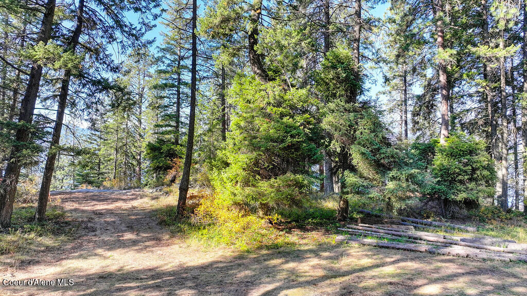 68 Rye Rd, Bayview, Alaska image 8