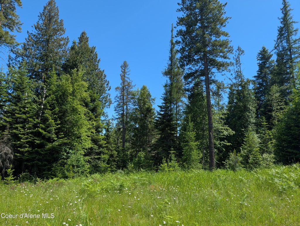 Photo of 1193 Hidden Valley Valley, Sandpoint, ID 83864 (MLS # 26-6363)