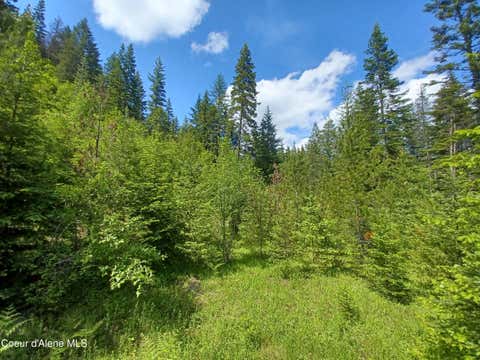 Vacant Land For Sale - 127 Coyote Trl<br/> Priest River, ID 83856